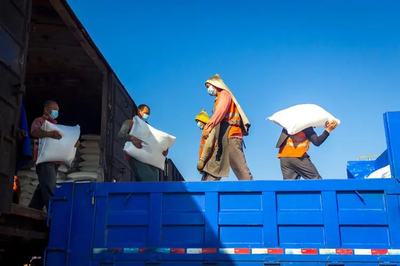 裝卸工 搬運(yùn)重任中的守護(hù)者與挑戰(zhàn)